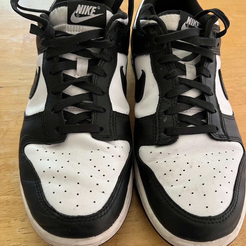 Men’s Low Nike Dunks